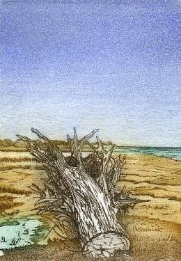 erosion benacre